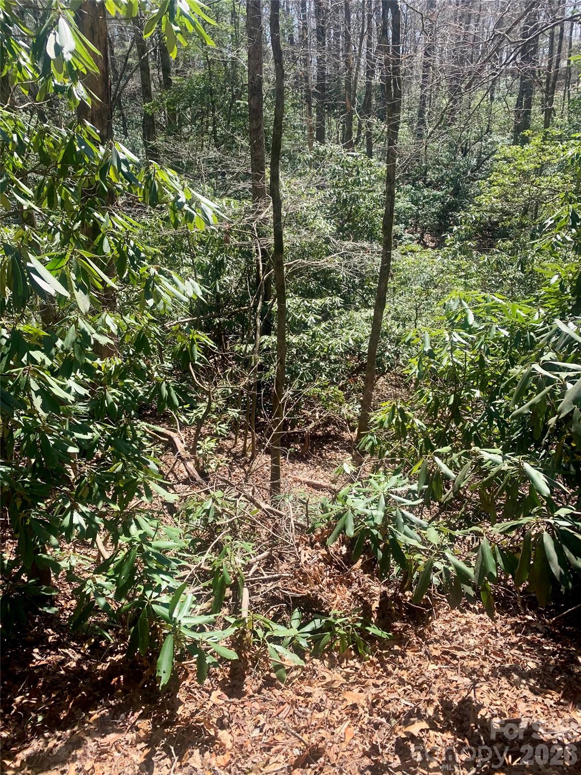 Indian Lake Estates - Land