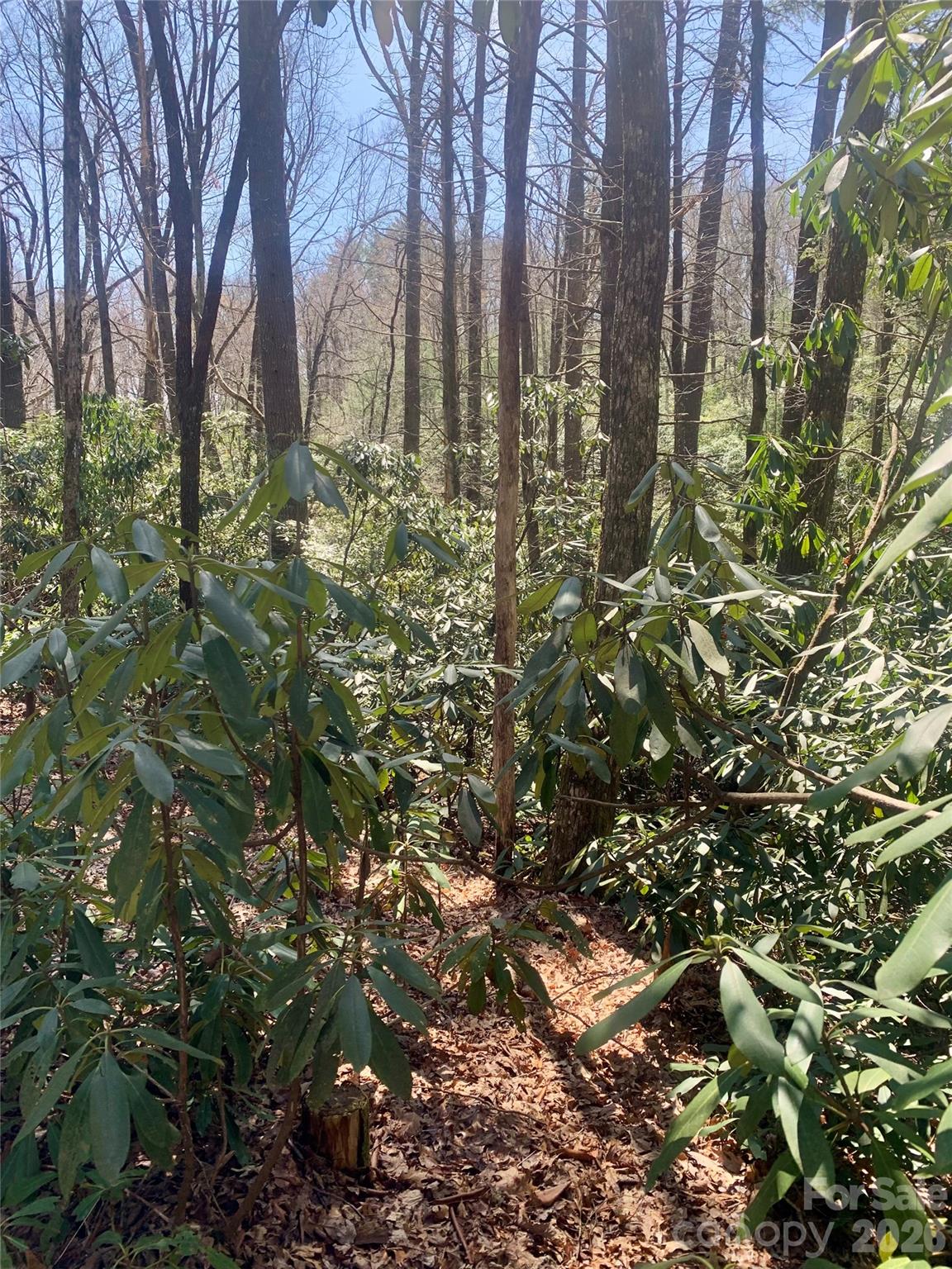 Lot 20A Indian Lake Road 20A