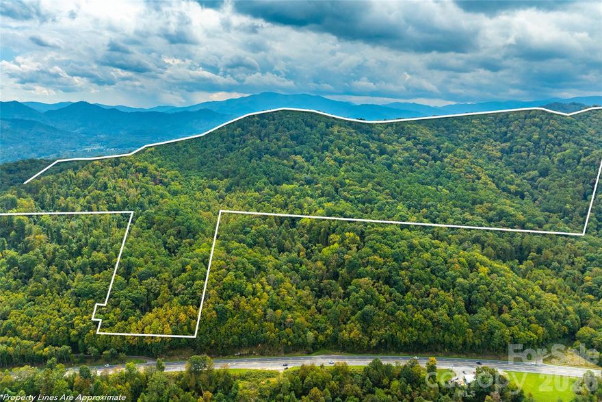 "what a beautiful piece of land" the photographer exclaimed! An expansive 85-acre tract offering the perfect balance of privacy, nature, and scenery. The front portion of the property is richly wooded, creating a peaceful buffer from the outside world and a haven for wildlife. As you explore deeper, the land gently unfolds toward the back third, where mountain views open up—an ideal setting for a future homesite, hunting cabin, or simply enjoying the vistas. With a mix of mature timber, rolling topography, and trails waiting to be carved, this property is well-suited for recreation, conservation, or building your dream retreat.
DO NOT use Goodwin Rd to access property.