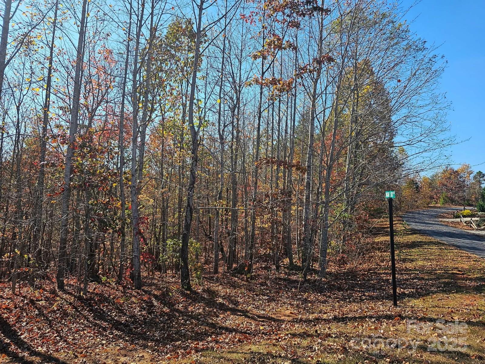 1211 Mountain Vista Drive