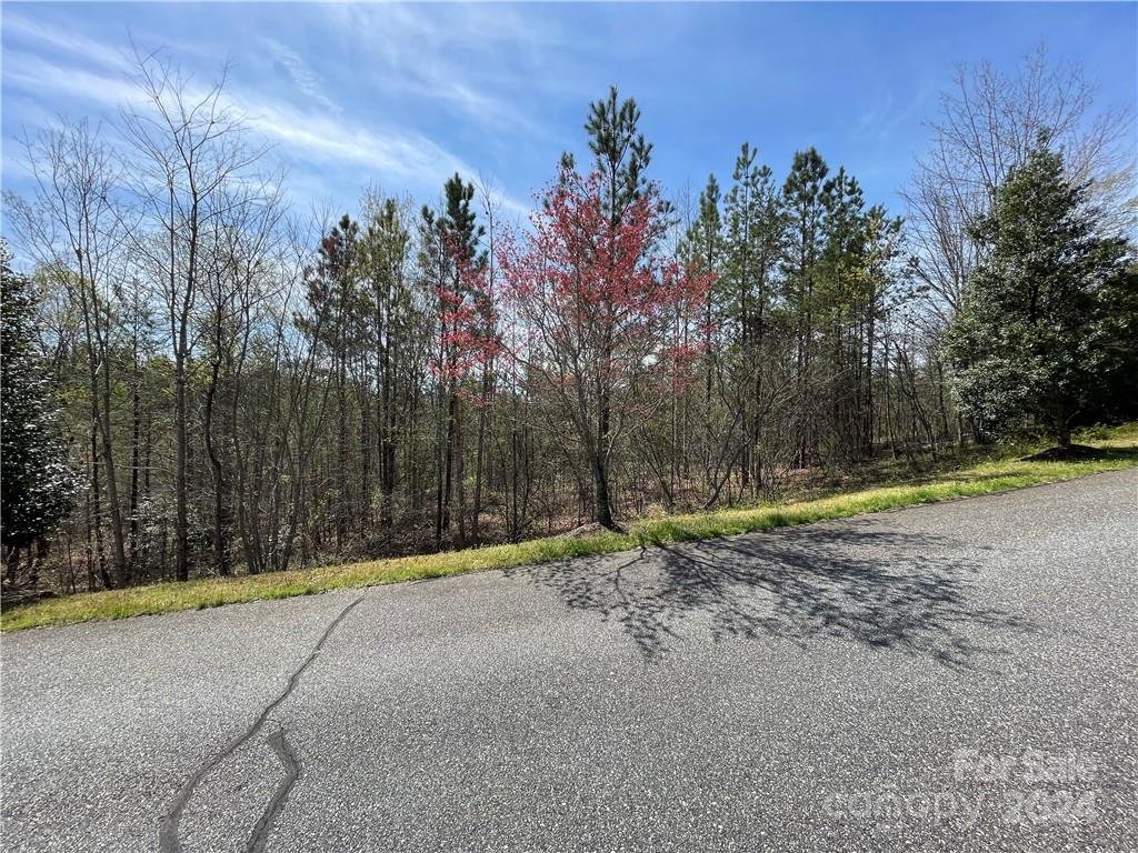 121 Jobes Trail 35