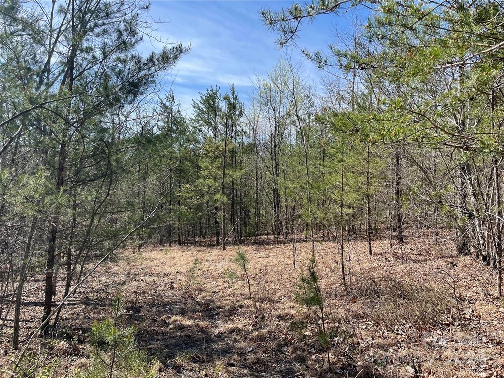 121 Jobes Trail 35