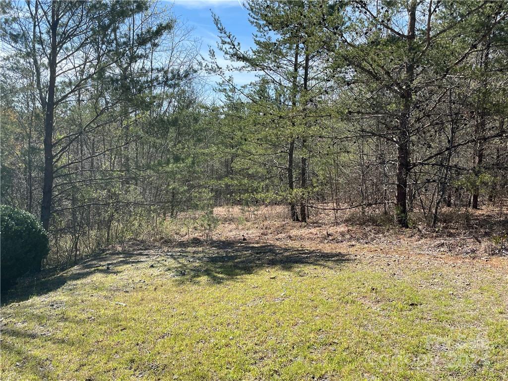 121 Jobes Trail 35