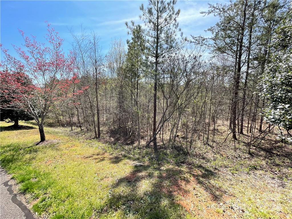121 Jobes Trail 35