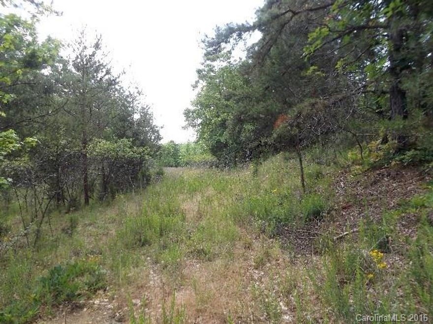 BACK ON MARKET! Estimated 18.89 acres w/old home site at top of driveway. No knowledge of well or septic on property. Hardwoods, beautiful trails & stream on the property. Dec 2015 it appraised for $63,000!!