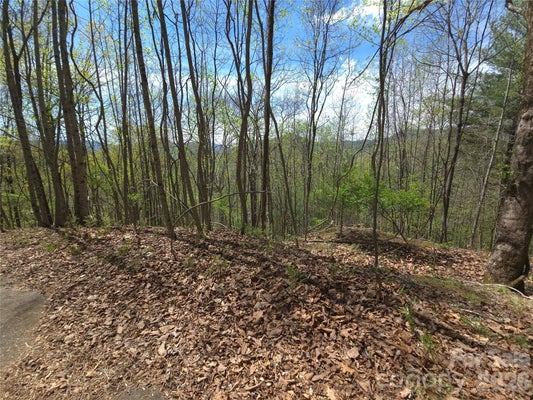 WINDING WAY DR, FRANKLIN, NC 28734 - Image 8016672a6f0e7d1f34f87dfafea2504e/2212302840