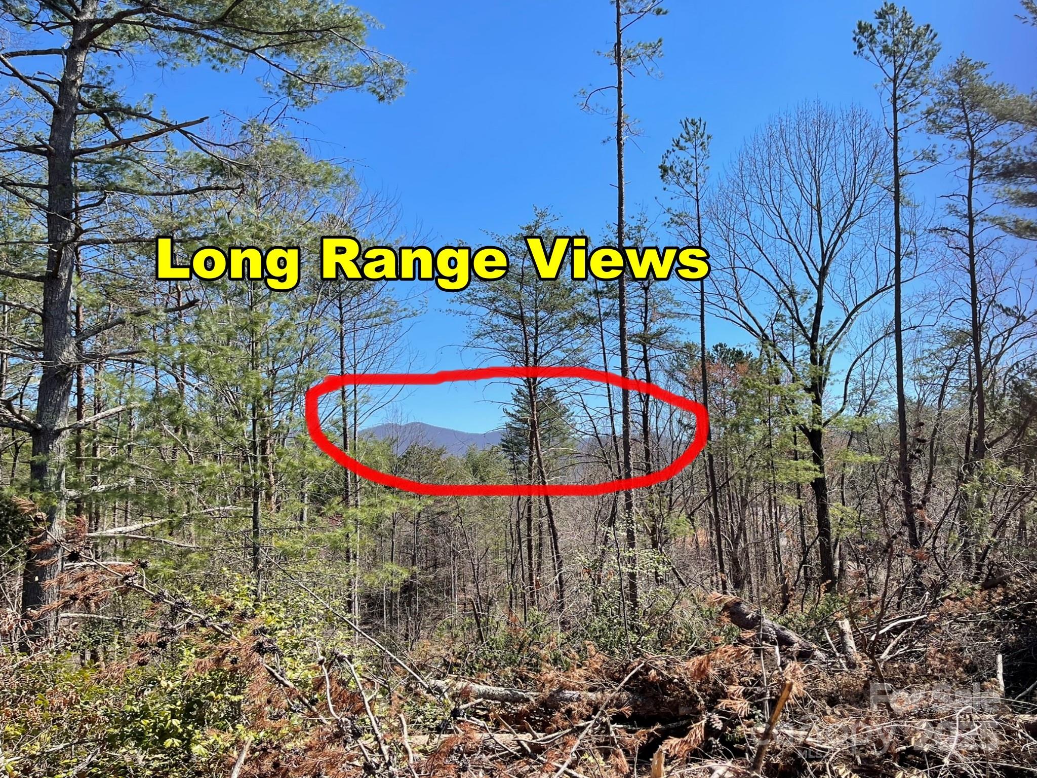 84 Union Chapel Road