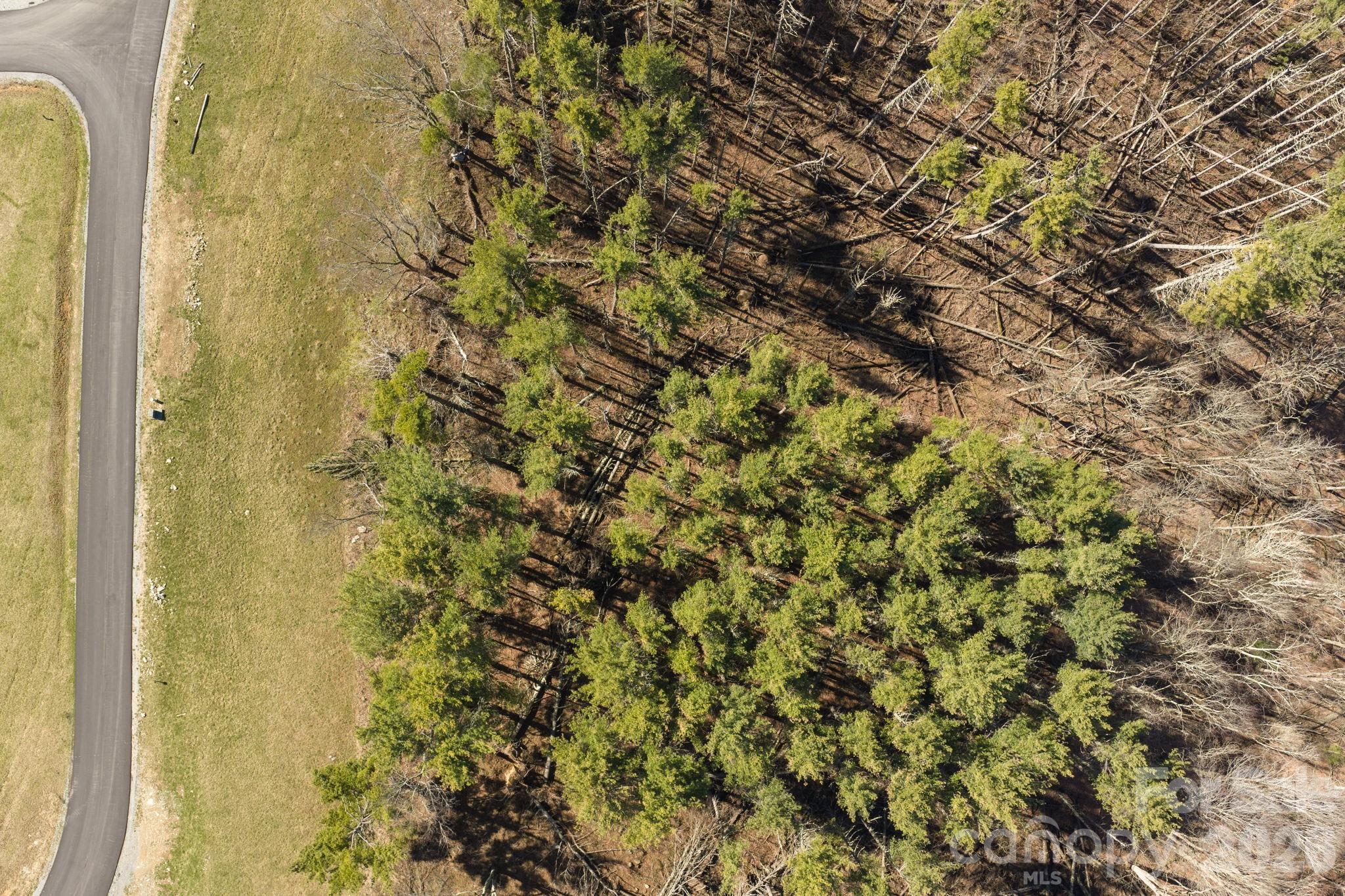 The Lodges at Eagles Nest - Land