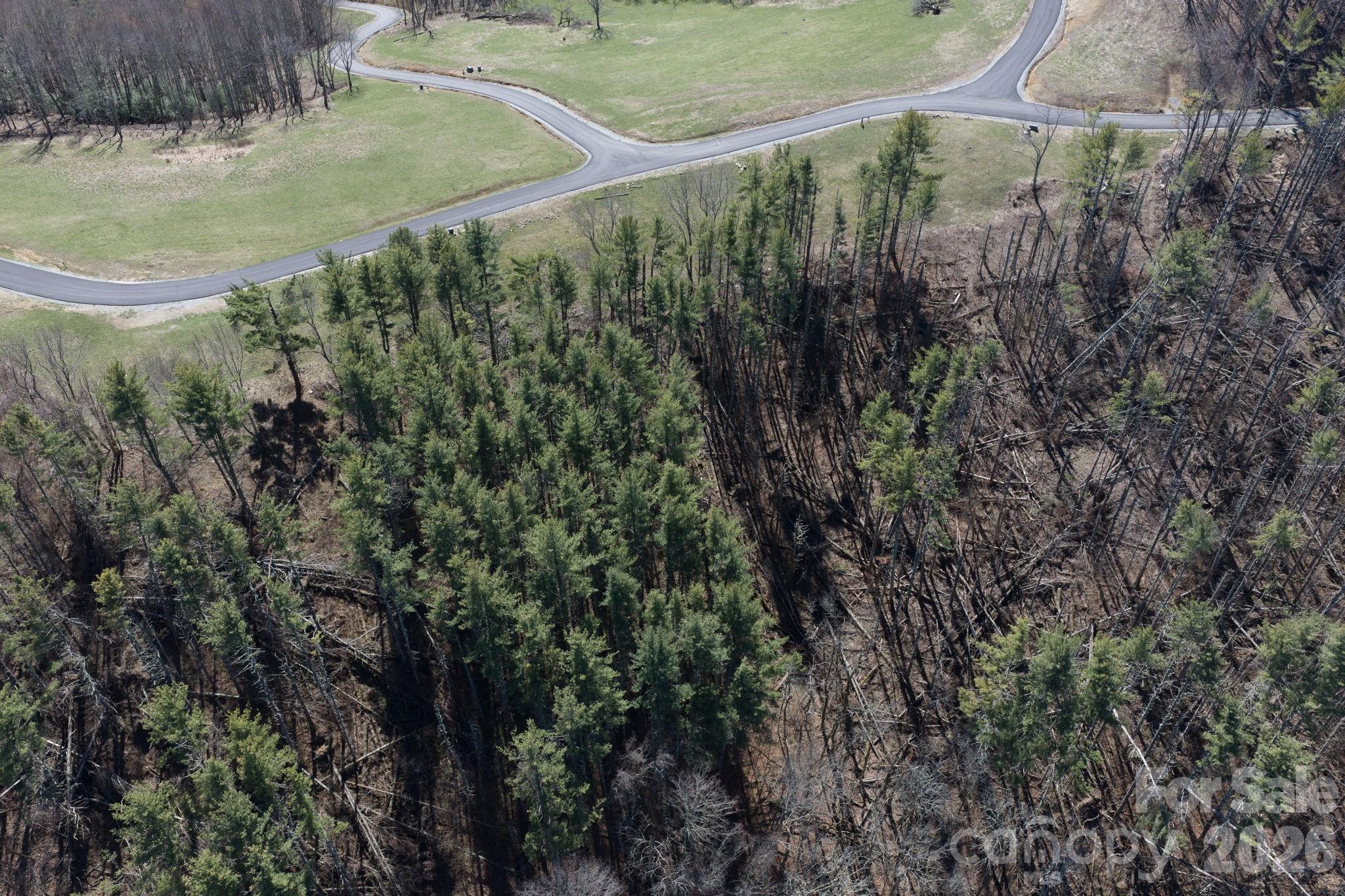 The Lodges at Eagles Nest - Land