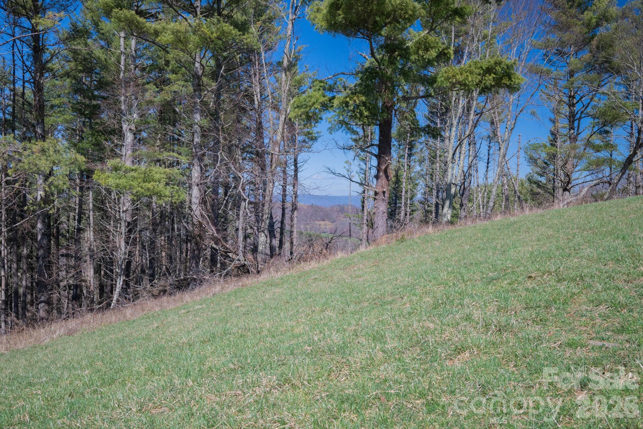 The Lodges at Eagles Nest - Land