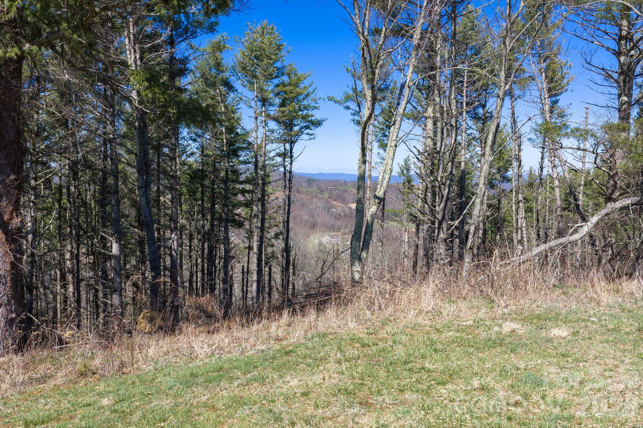The Lodges at Eagles Nest - Land