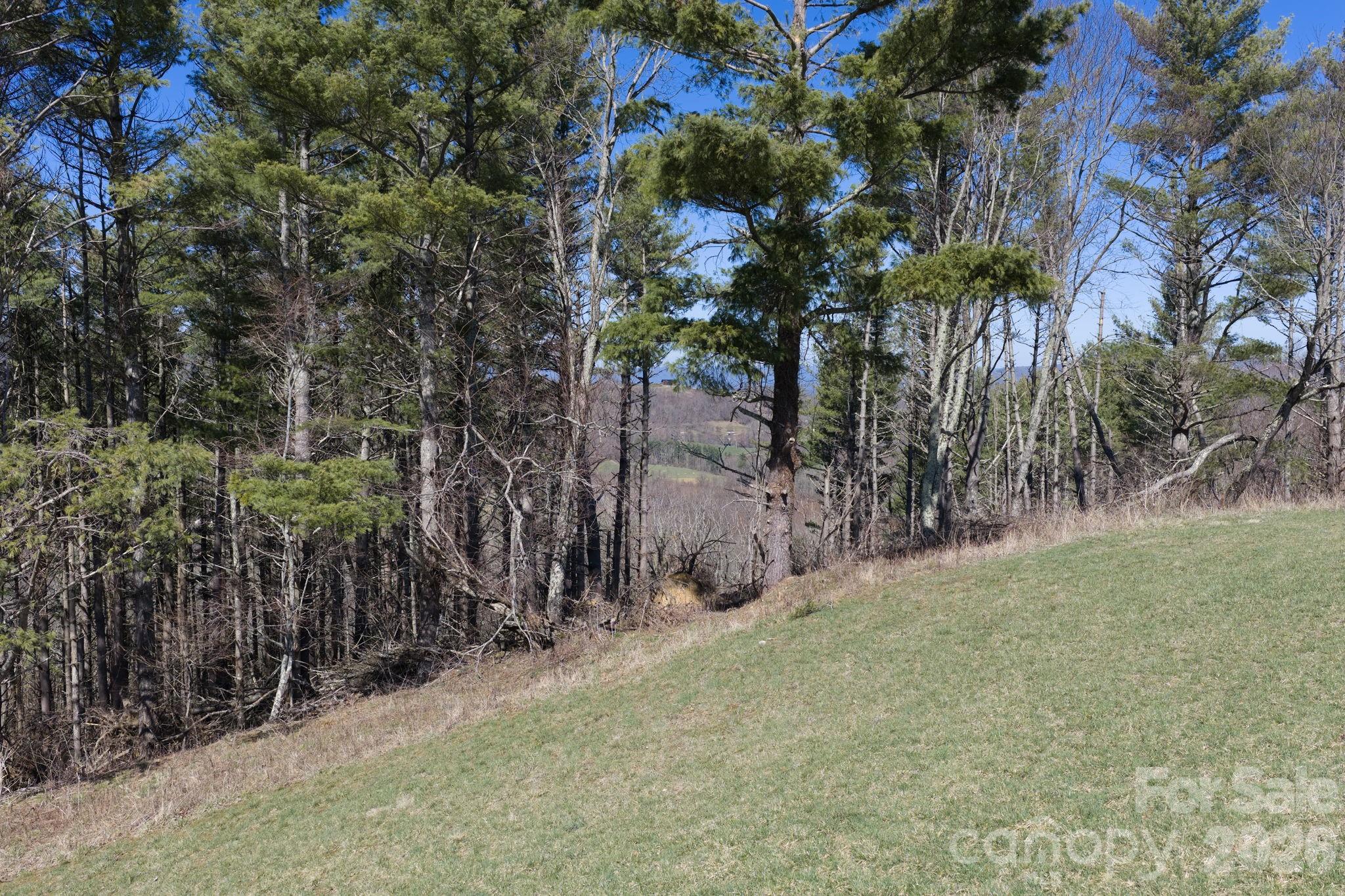 The Lodges at Eagles Nest - Land