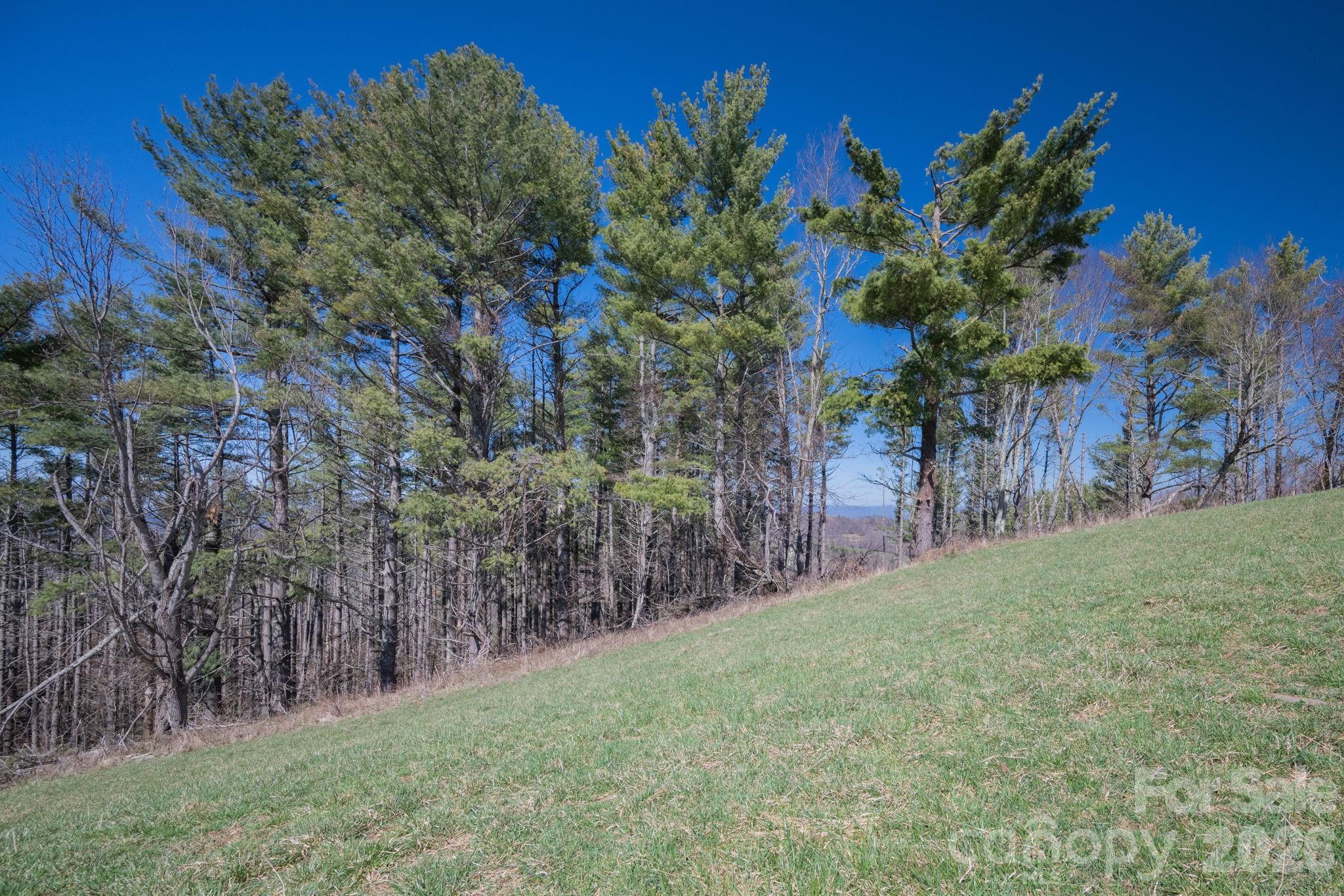 The Lodges at Eagles Nest - Land