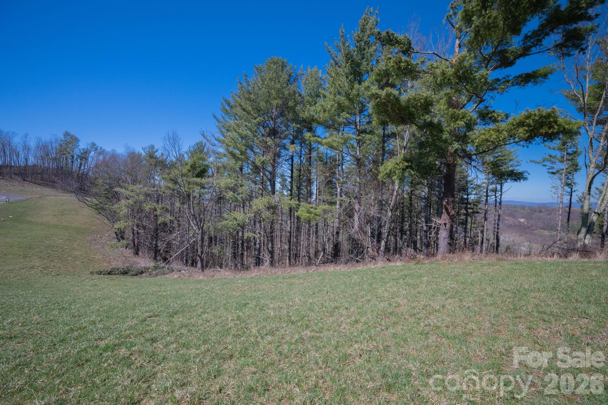 The Lodges at Eagles Nest - Land