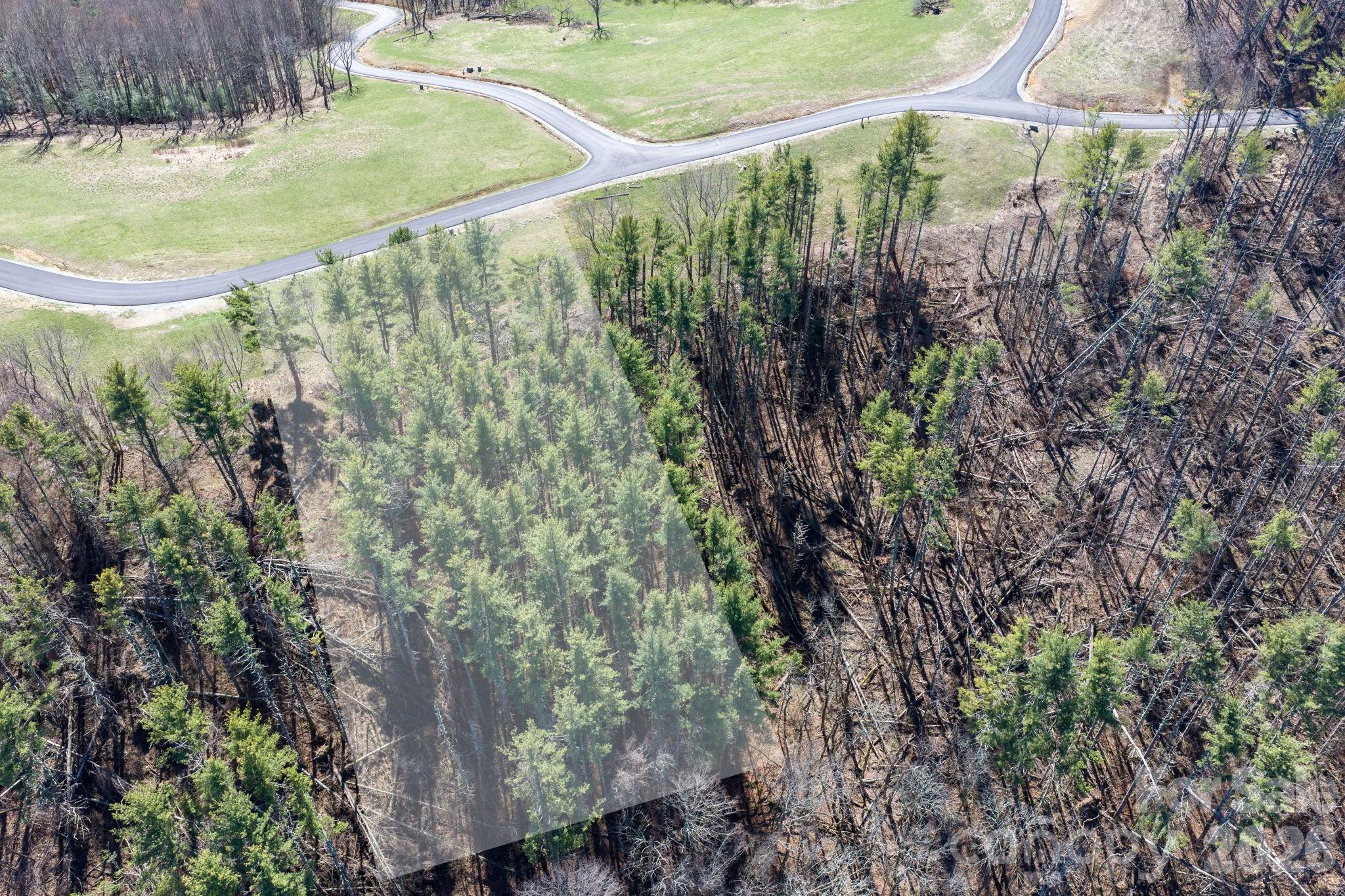 The Lodges at Eagles Nest - Land