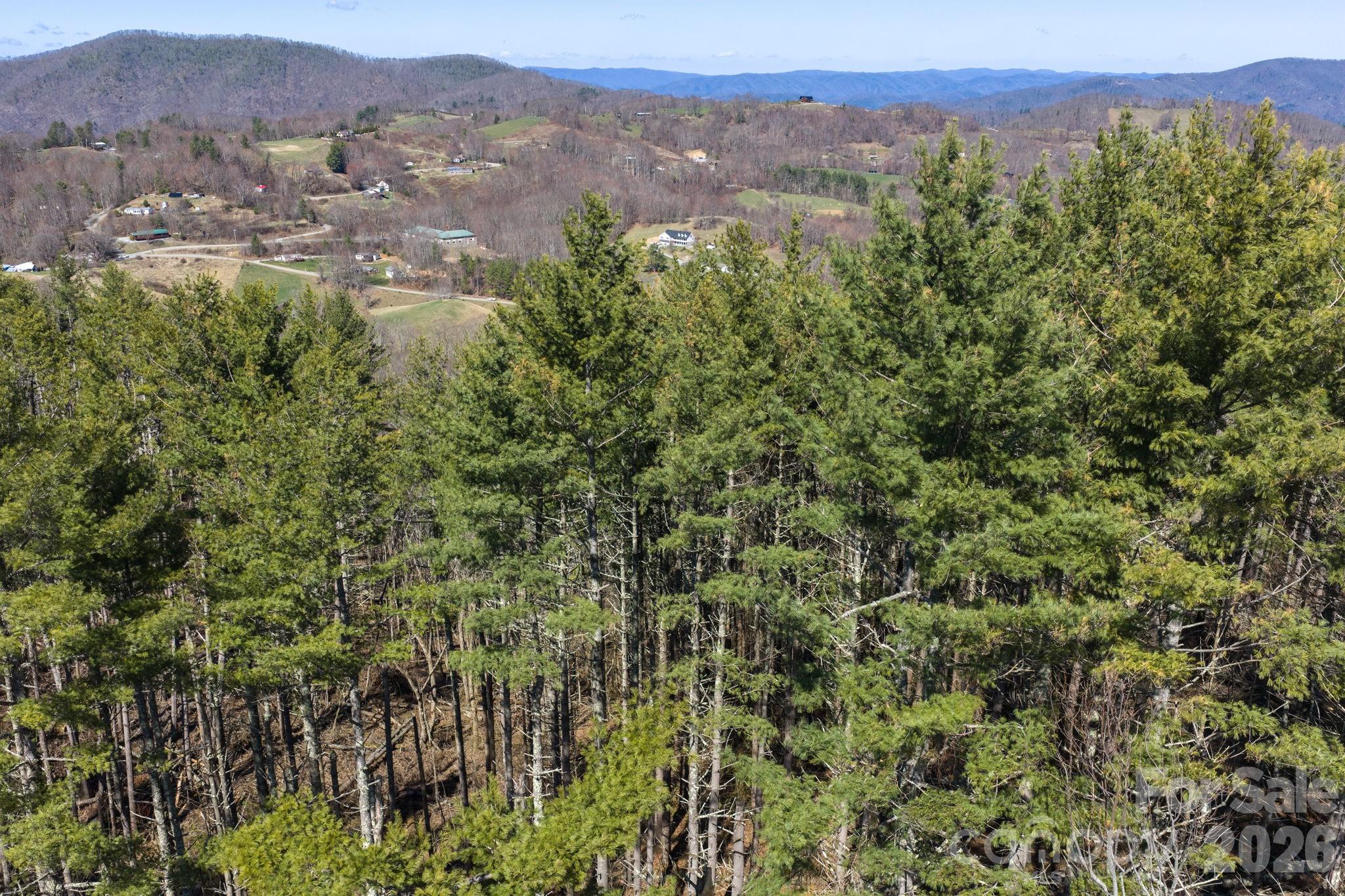 The Lodges at Eagles Nest - Land