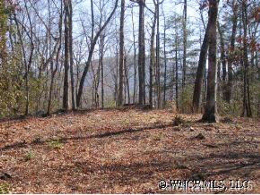 Nice easy build lot. Top of the knoll, possible views, easy access in very desirable neighborhood. 10 minutes to Brevard. Owner finanancing available.  Call Listing Agent for details.
