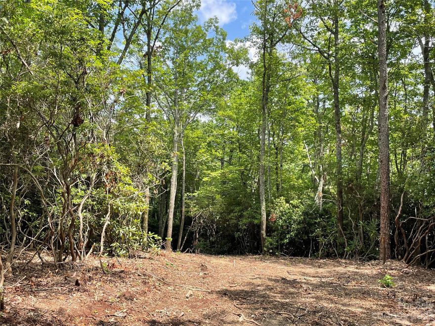 If you're looking for privacy, homesite 41 is it. Secluded at the end of the road and just steps to 150 acres of conservation. This is a hiker's paradise. 5 miles of trails directly in your back yard!  Sprout is Asheville and Hendersonville's newest conservation community offering the residents a place to live a healthy in a nature focused way while still enjoying the comforts of connecting with your neighbors as well as being conveniently located. The community gives owners a way to connect with nature through the community gardens and miles of hiking and mountain biking trails that wind throughout the 150 acre conservation preserve. The conservation area cannot ever be developed in the future and is only for the enjoyment of Sprout owners. Sprout also encourages the use of green building practices such solar panels, geothermal systems as well as qualifying for an Energy Star Certification.