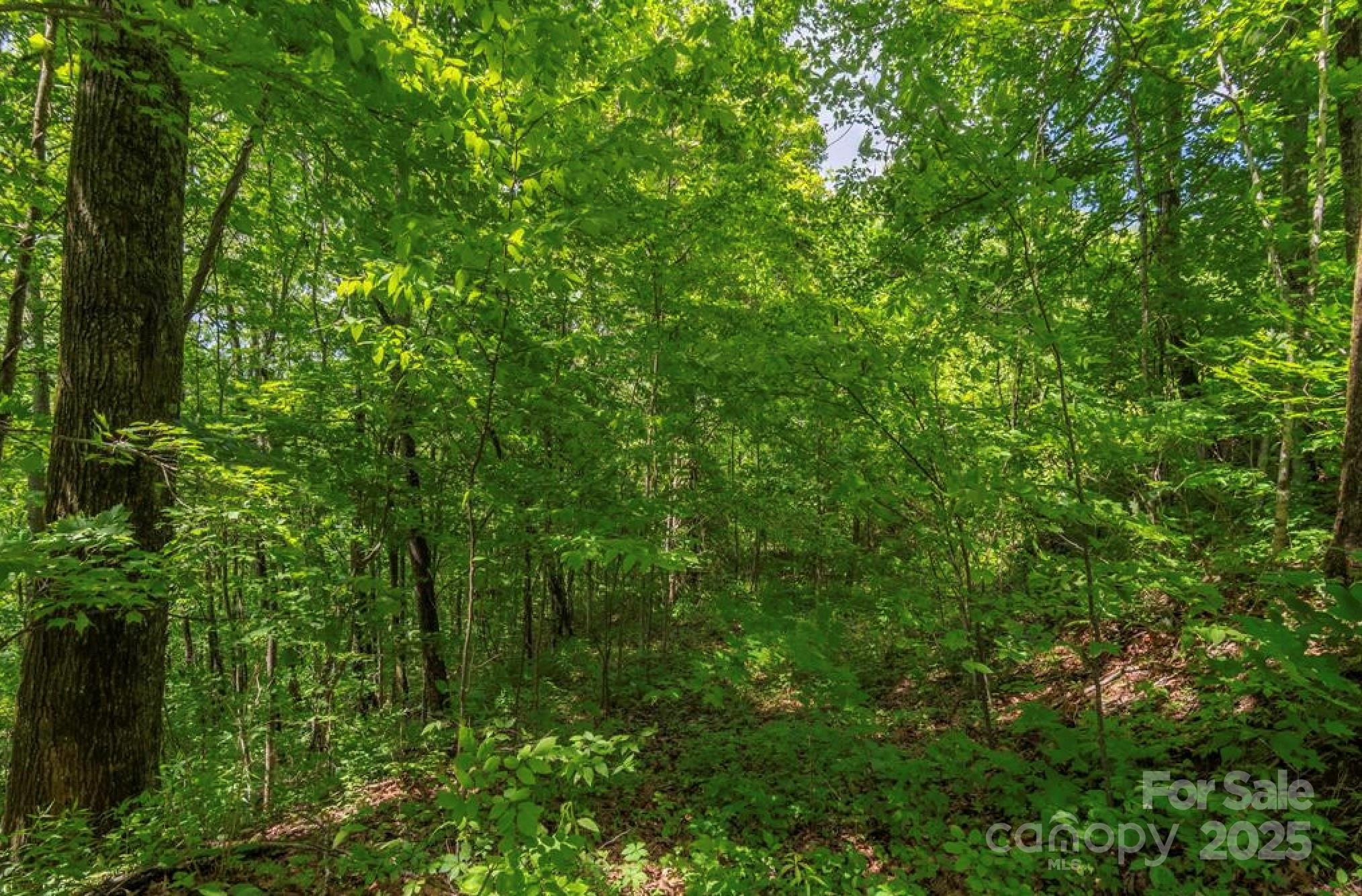 99999 Sara Ridge Road 32C