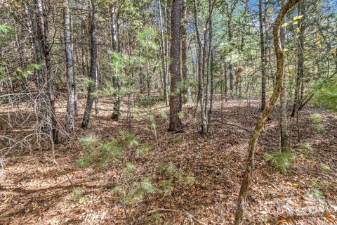 99999 Sharon Road Fairview NC 28730