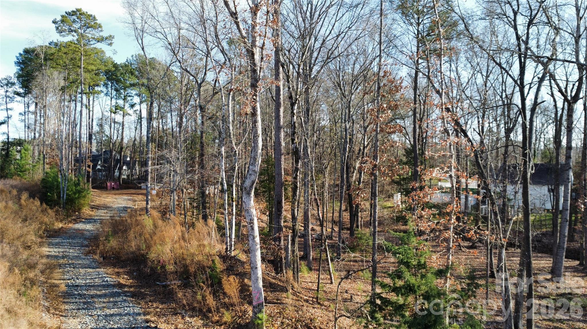 16021 Little Ray Court