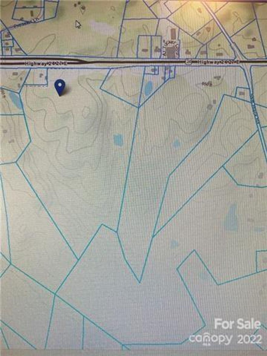 Prime location! Much of the acreage is cleared but you do have wooded acres.  Perfect to develop for Neighborhood, commerical development with grocery, restaurants and townhomes would be impressive.  Water is at Hwy 24/27. This is beautiful acreage with many possibilities.