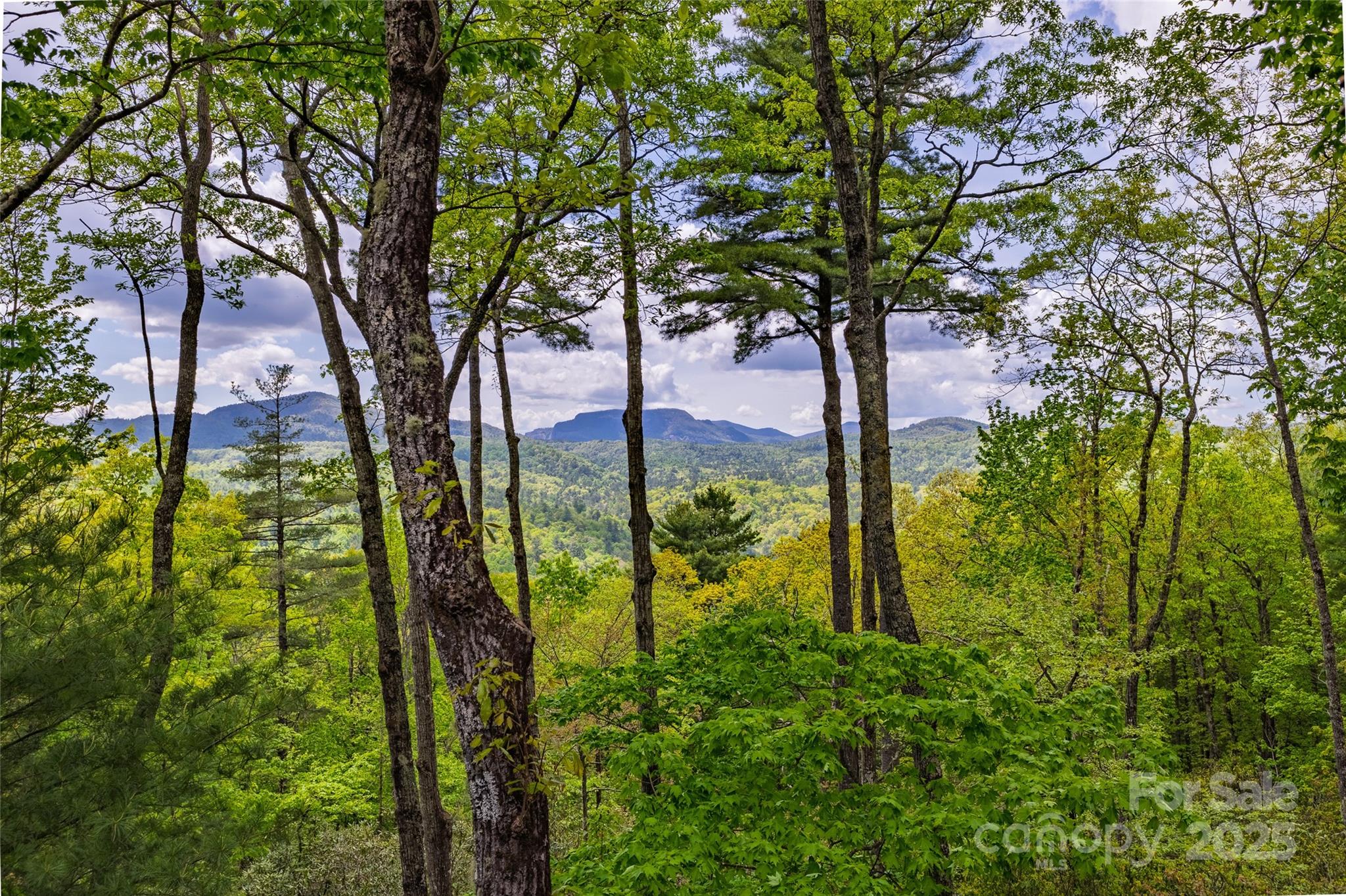 264 Jocassee Trail