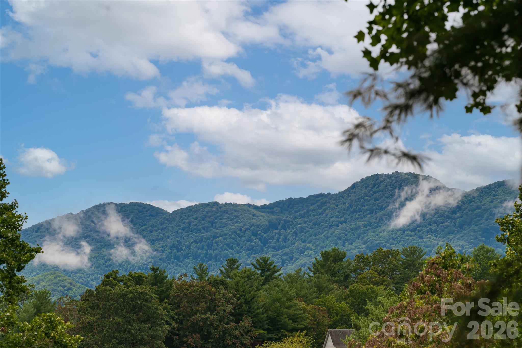 427 Shadowwood Drive