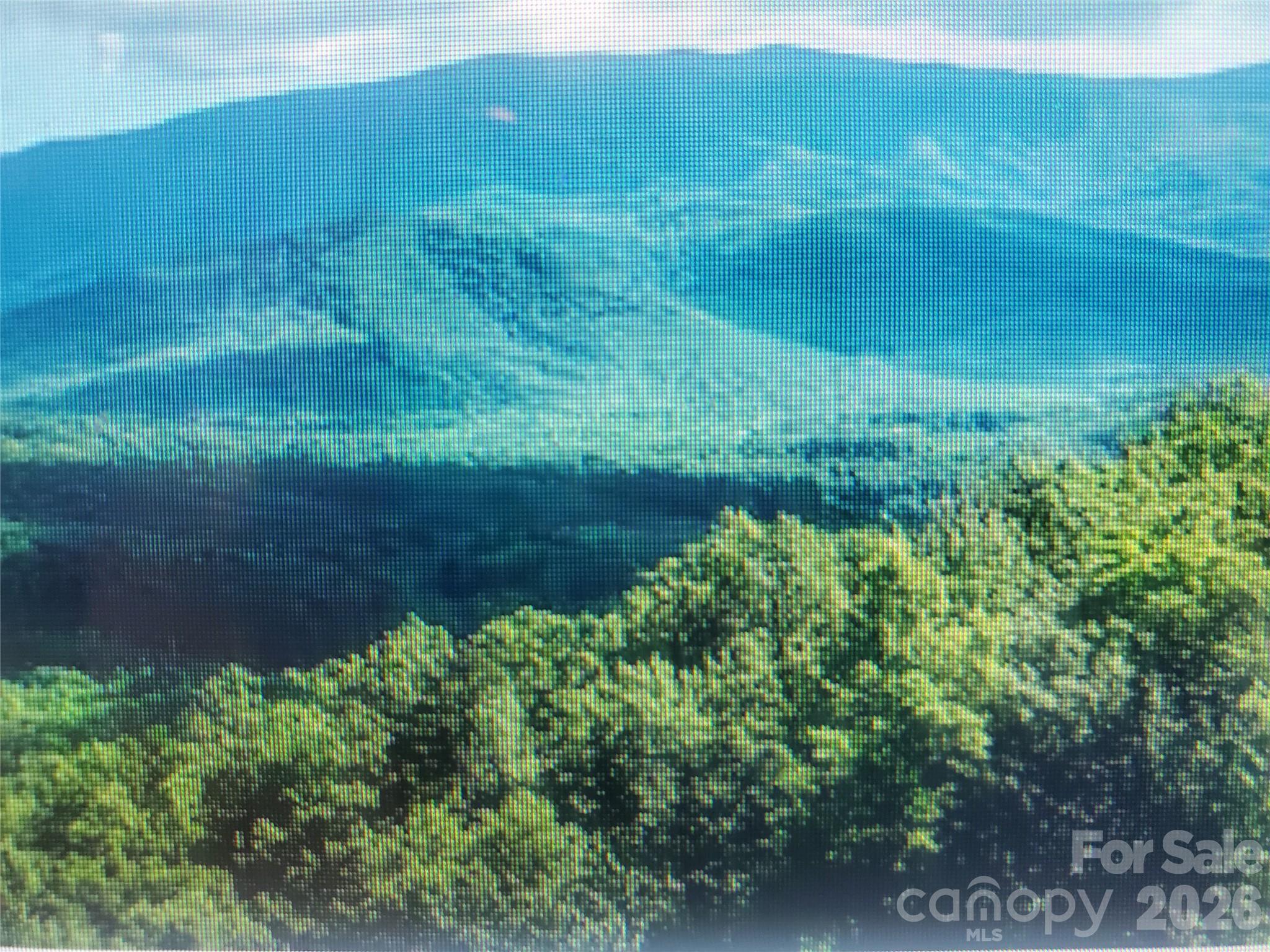 000 Justin Ridge M