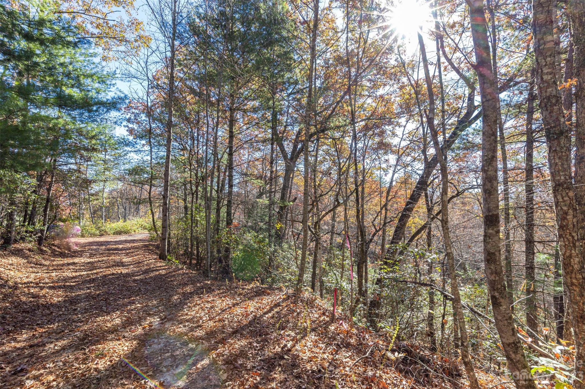 000 Needmore Road