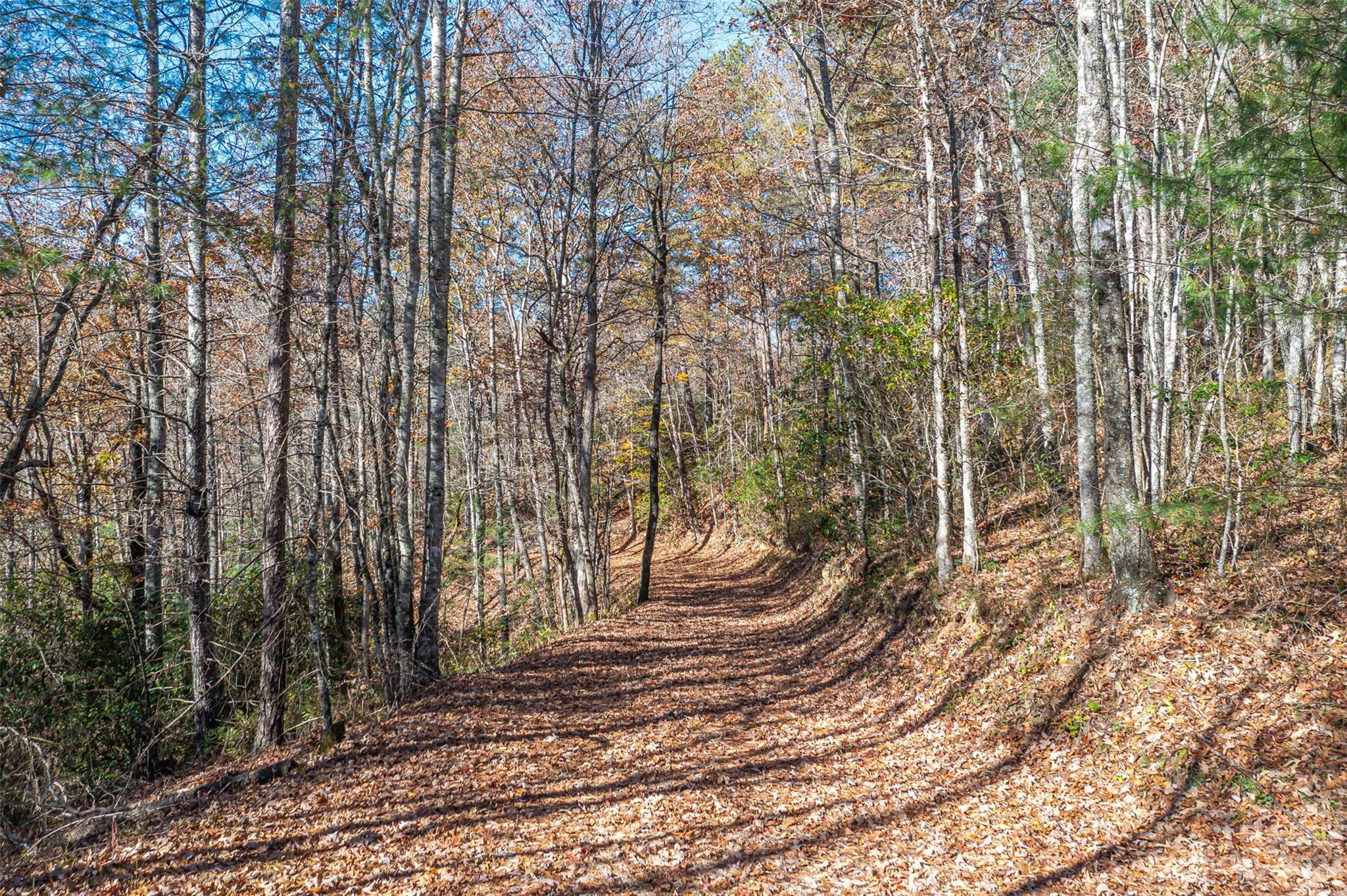 000 Needmore Road