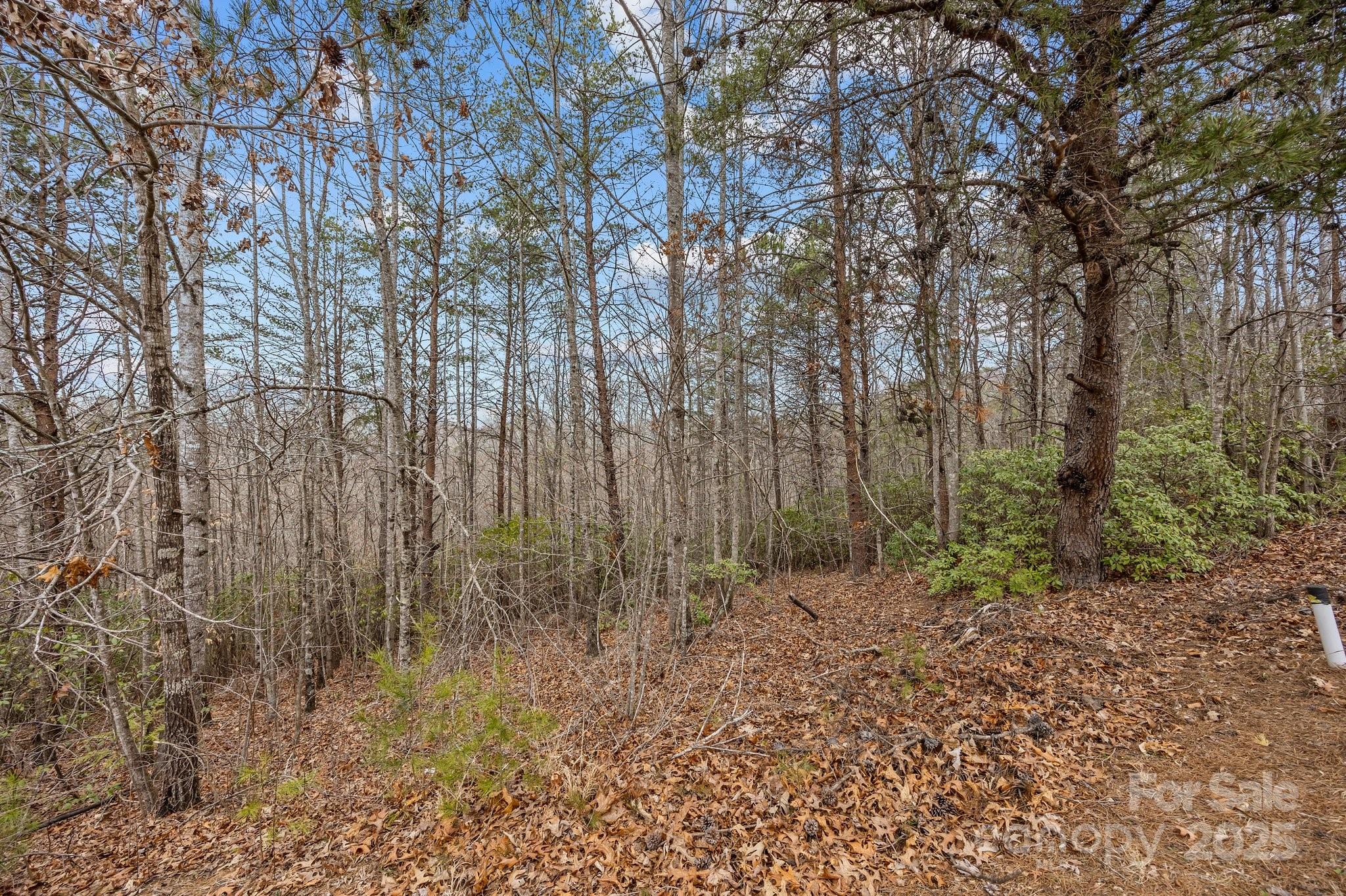 Lot 107 Glenhaven Drive