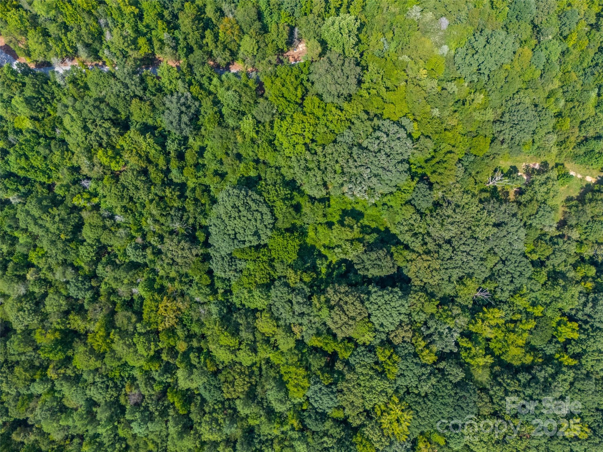 Lot 2 Ratteree Farms Road 2