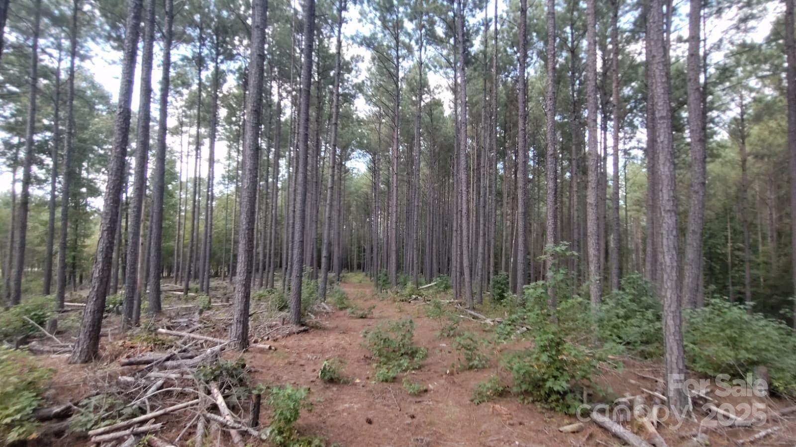 The Crossings - Land