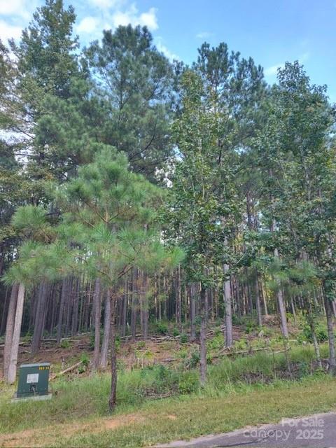 Lot 109 Riverbluff Lane