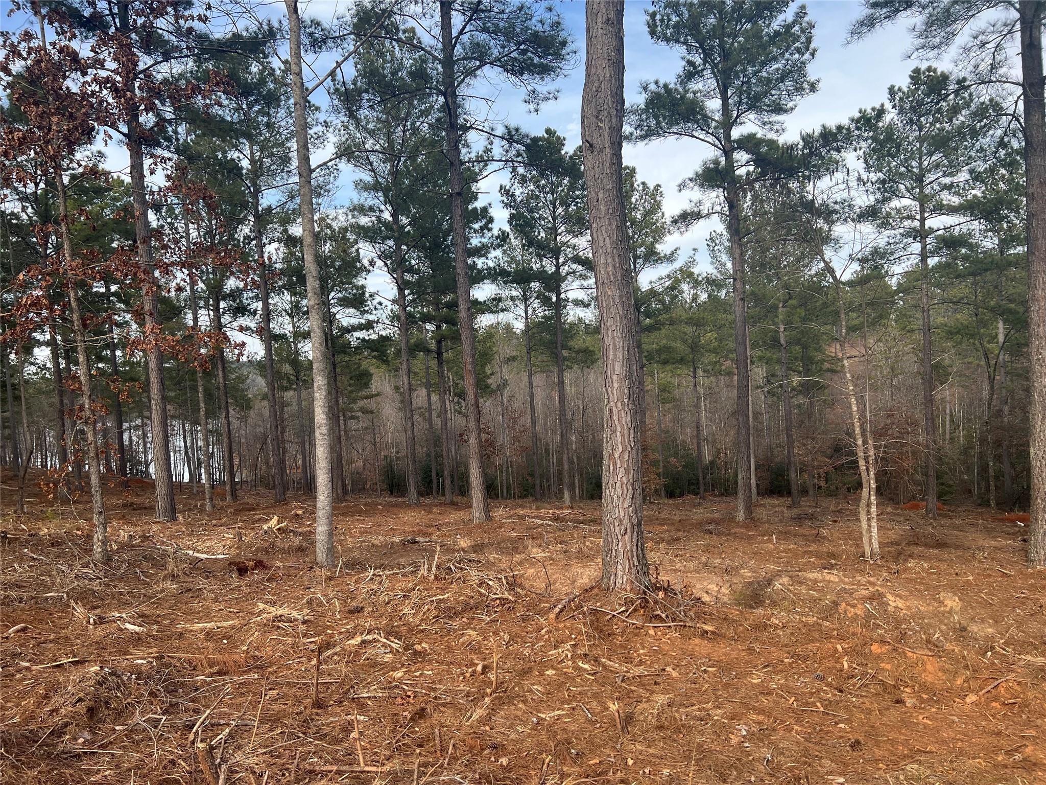 Lakeside Reserve - Land