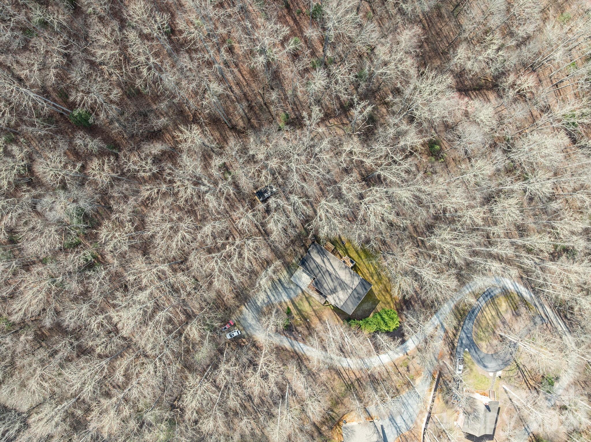 Honey Locust Estates - Residential