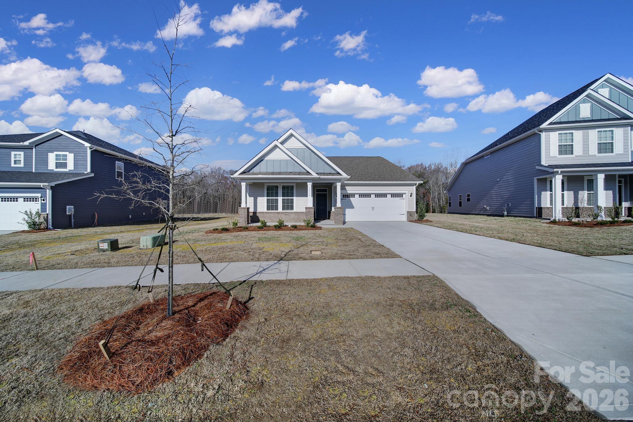 1414 Black Walnut Street