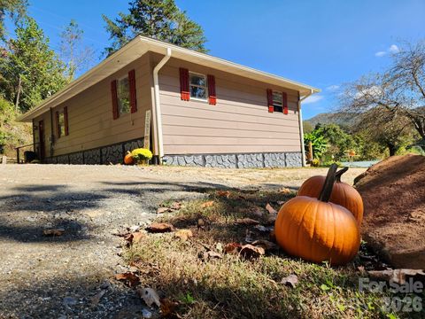 41 Gunches Dirt Road Candler NC 28715