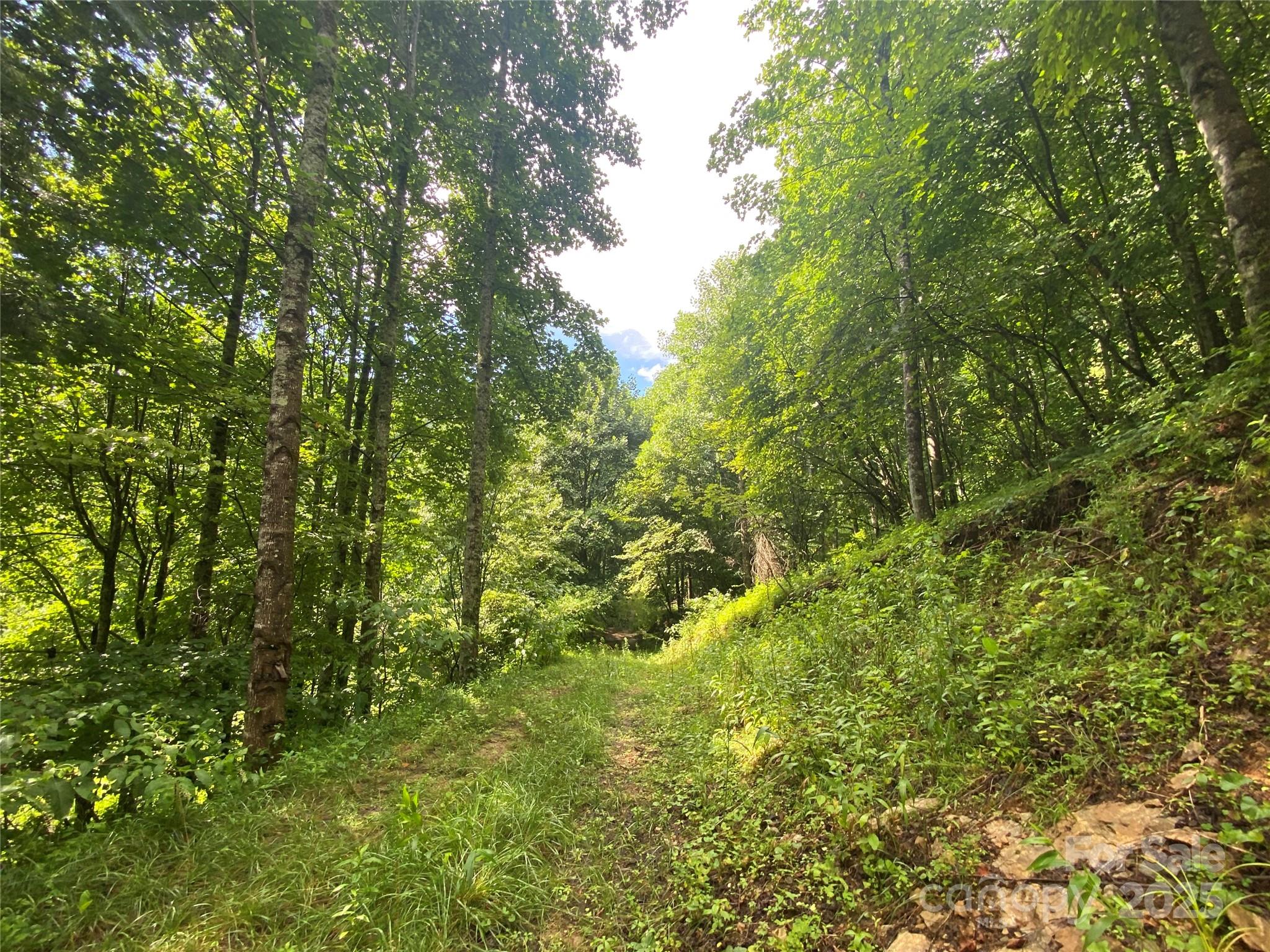 99999 Foster Creek Road