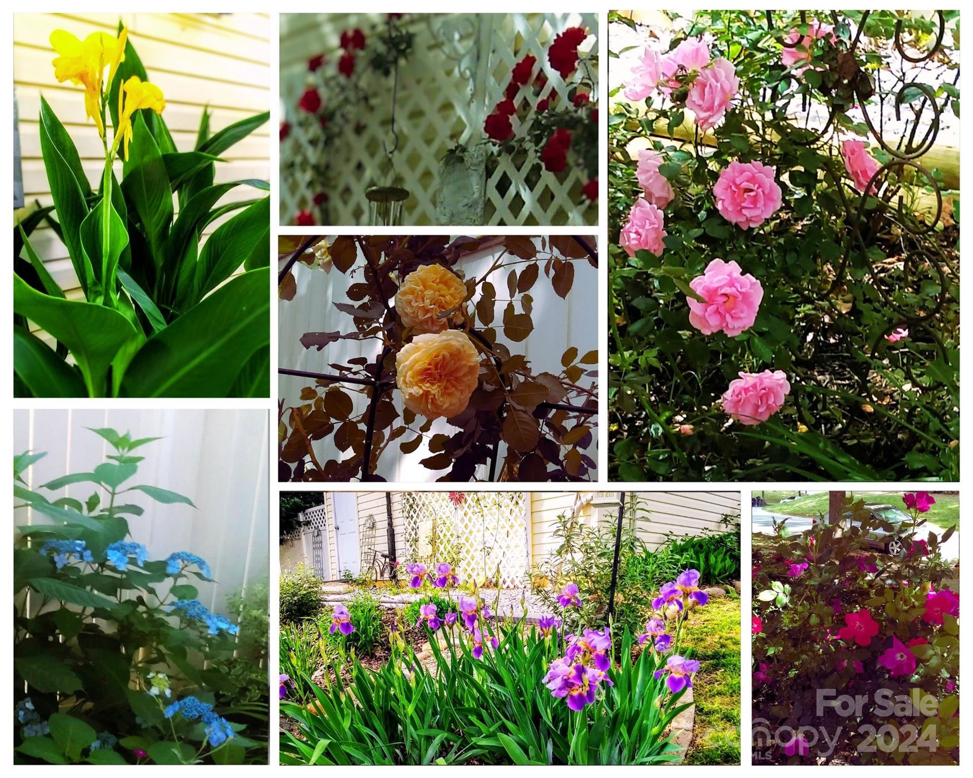 Caldwell Station - Residential