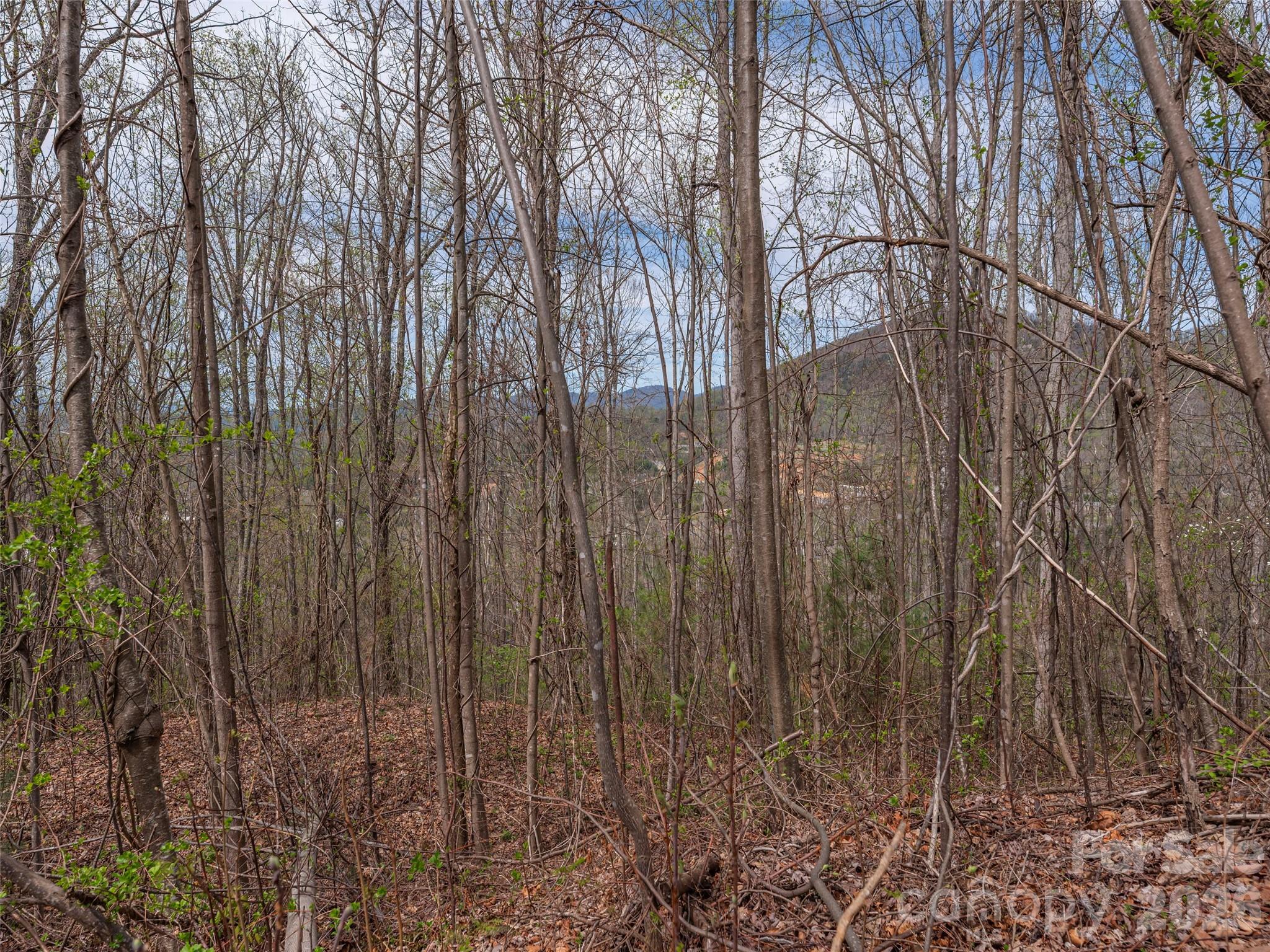 137 & 145 Cedar Mountain Road