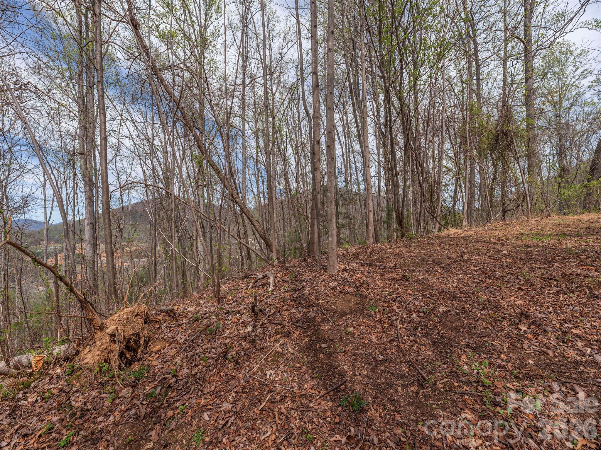 137 & 145 Cedar Mountain Road