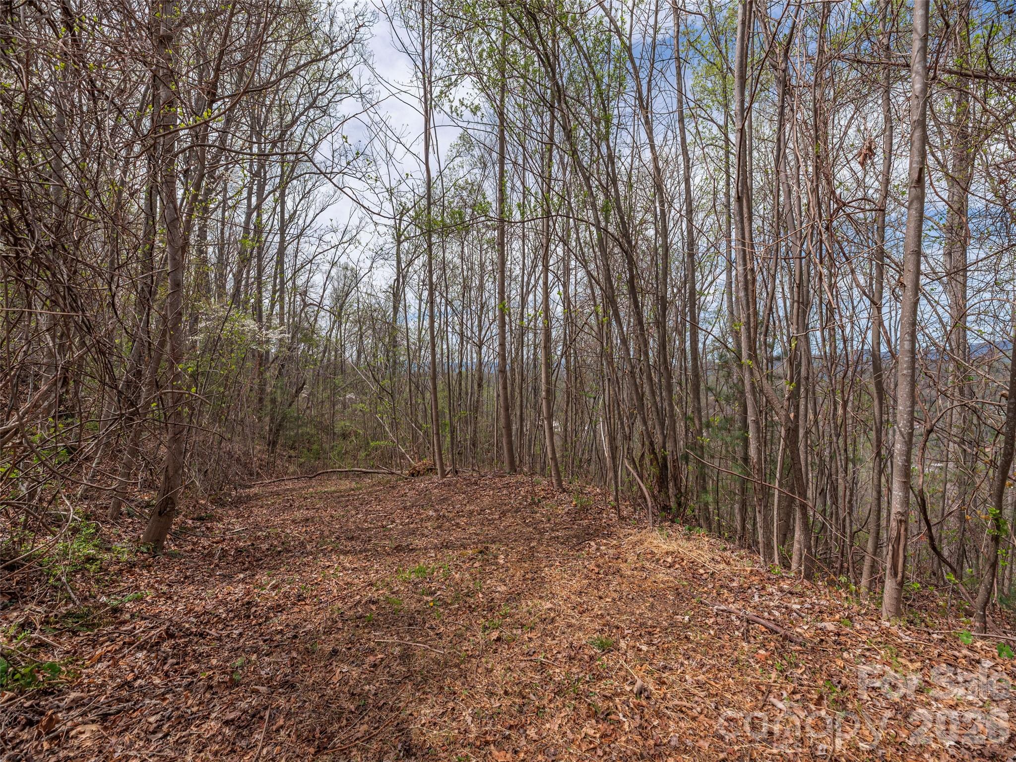 137 & 145 Cedar Mountain Road