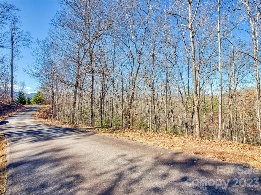 Incredible lot in Clarks Chapel Cove Subdivision in Franklin! It is close to shopping, dining, schools, parks, and adventure.  With just over 2 acres, it has underground utilities, fiber optic internet available, a current perc test for a 3 bedroom house, and a current survey completed - all ready for your dream home to be built! Don't let this one get away!