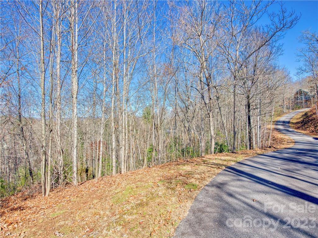 Clarks Chapel Cove - Land