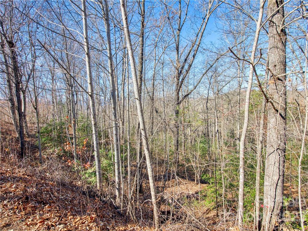 Lot 26 Chapel Cove Circle