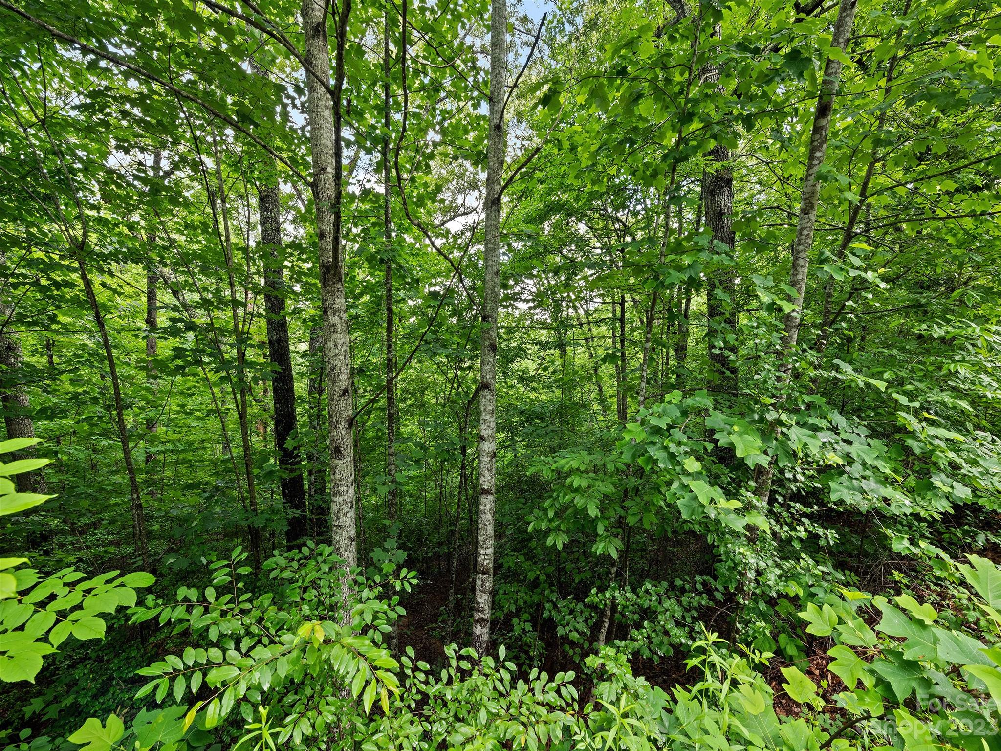 Clarks Chapel Cove - Land