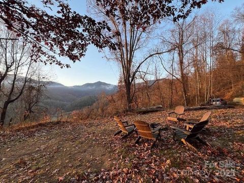 Photo of 99999 South Turkey Creek Road, Leicester, NC 28748 (MLS # 4311266)