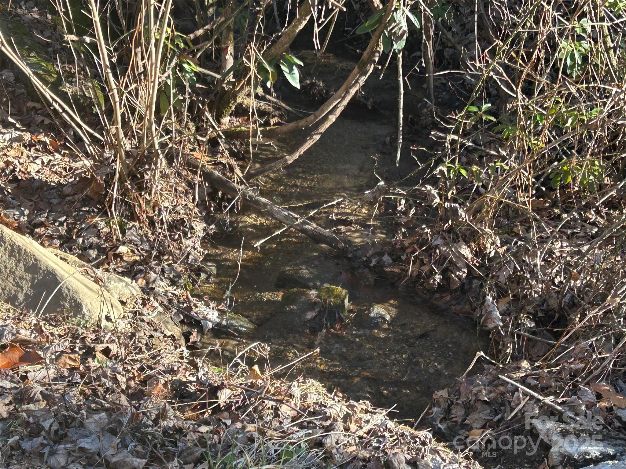 25 Little Creek